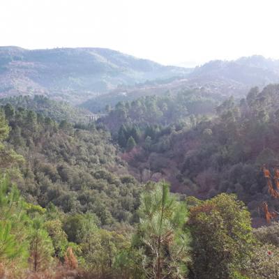 36 Vue Du Gr Sur La Valle Du Gardon De Mialet